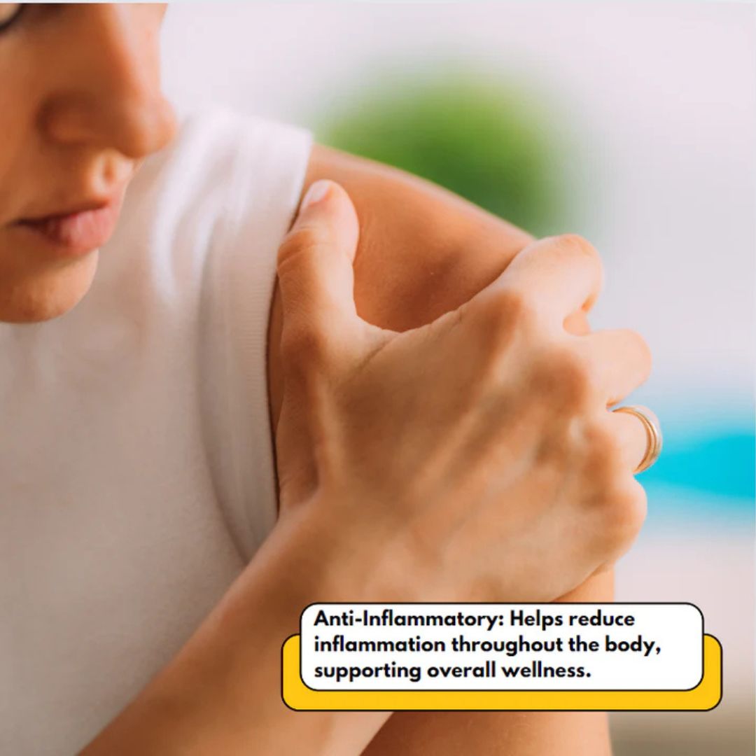 Rich's Pure MSM Dietary Supplement Powder Anti-Inflammatory