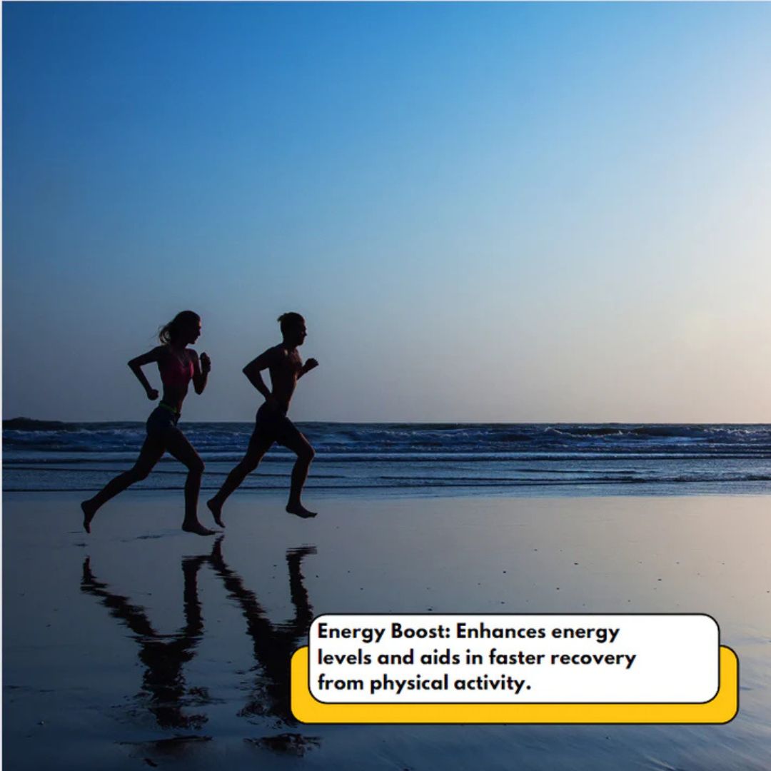 Rich's Pure MSM Dietary Supplement Powder Energy Boost