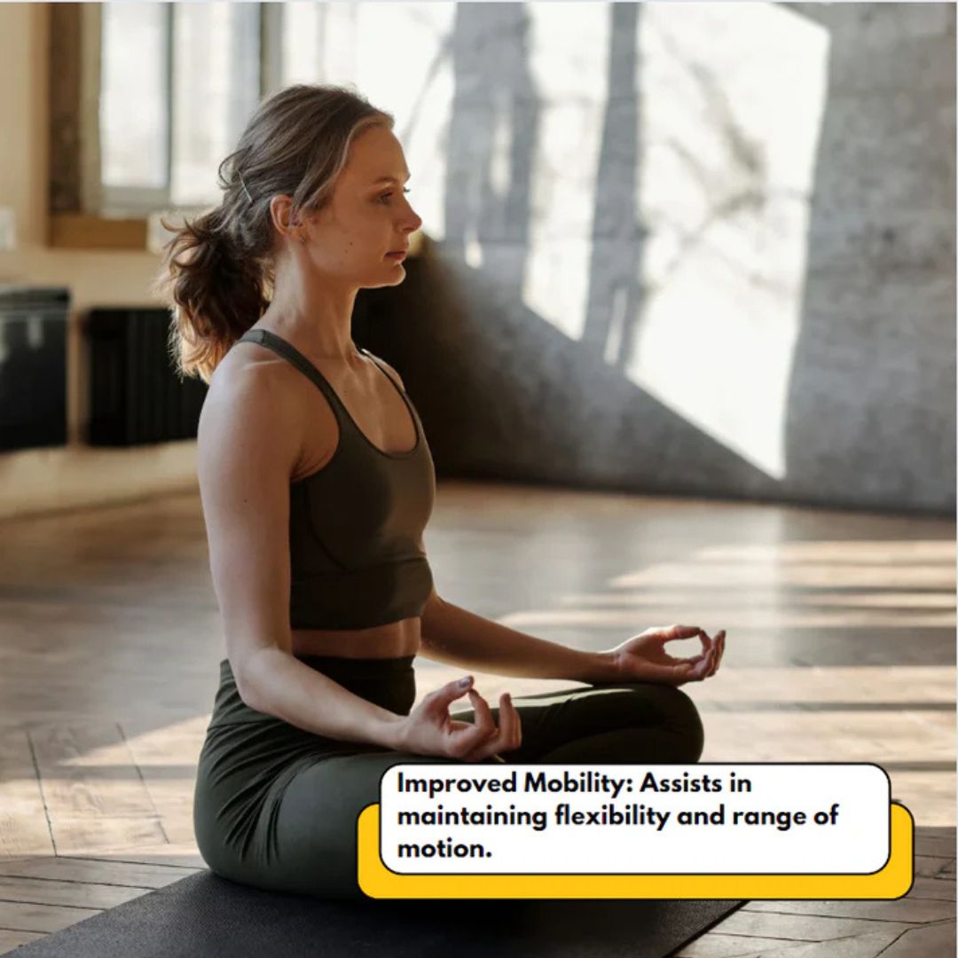 Rich's Pure MSM Dietary Supplement Powder Improved Mobility