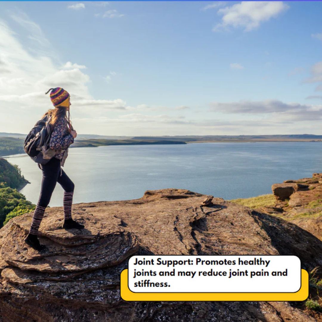 Rich's Pure MSM Dietary Supplement Powder Joint Support