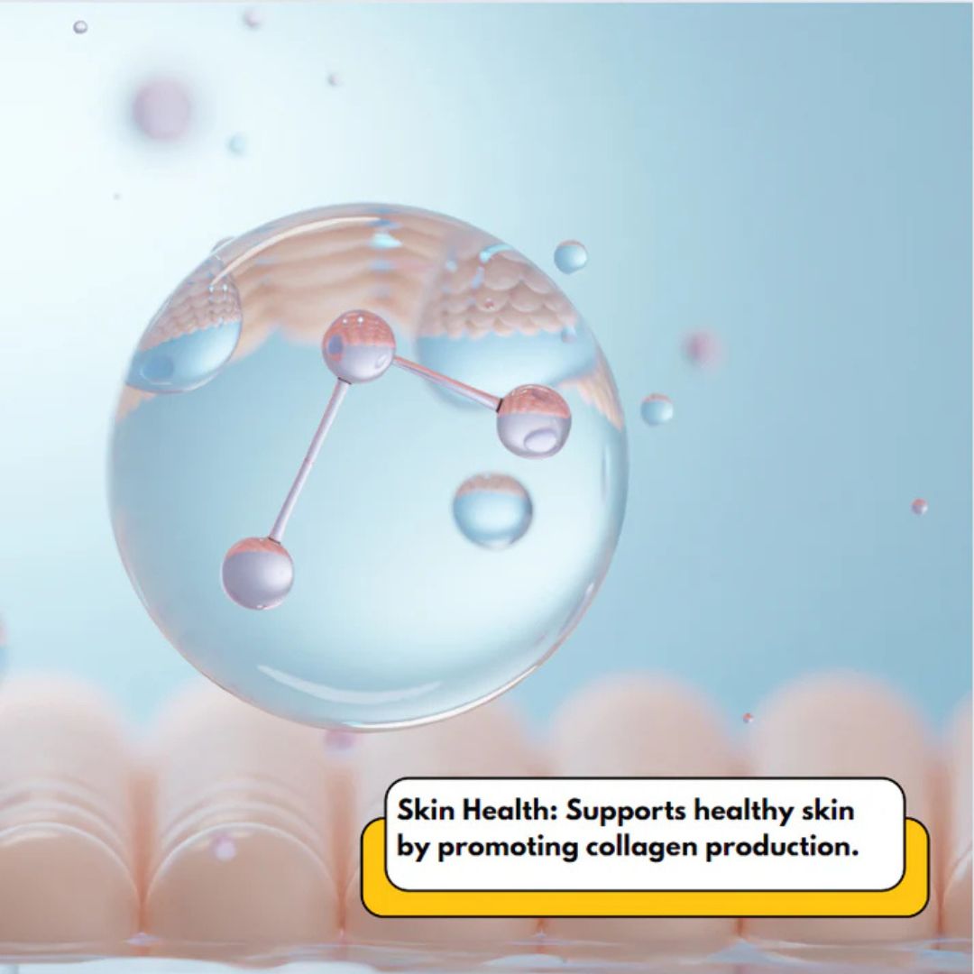 Rich's Pure MSM Dietary Supplement Powder Skin Health