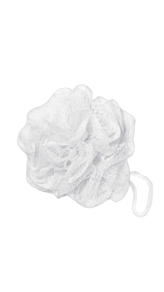 Loofa